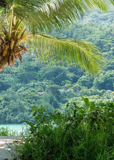 How To Be An Eco Friendly Tourist In Seychelles